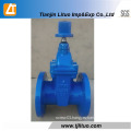Resilient Seated Water Gate Valve 6 Inch